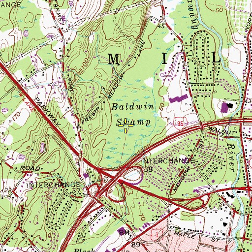 Topographic Map of Baldwin Marsh Wildlife Area, CT