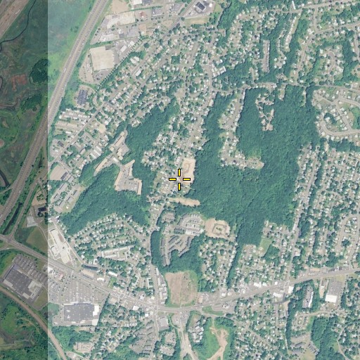 Aerial/Satellite Image of Bishop Woods School, CT