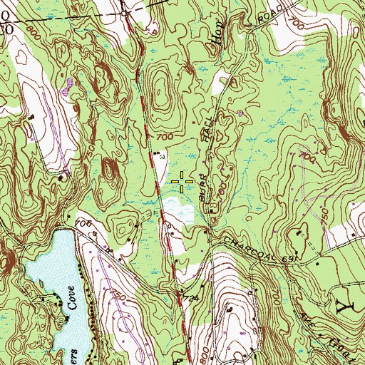 Topographic Map of Cedar Swamp, CT