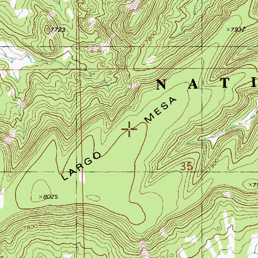Topographic Map of Largo Mesa, NM