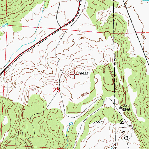 Topographic Map of Wild Mountain, CO