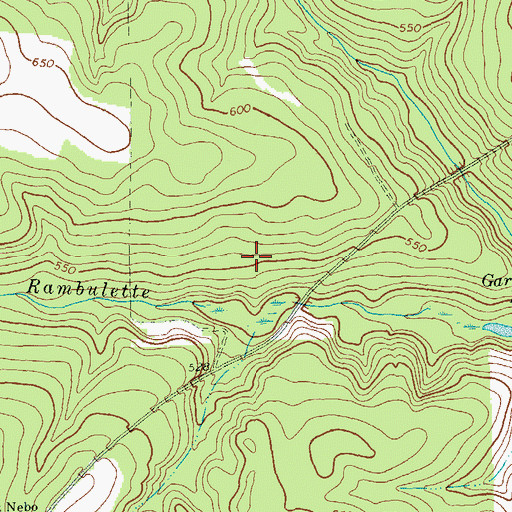 Topographic Map of Rupert Division, GA