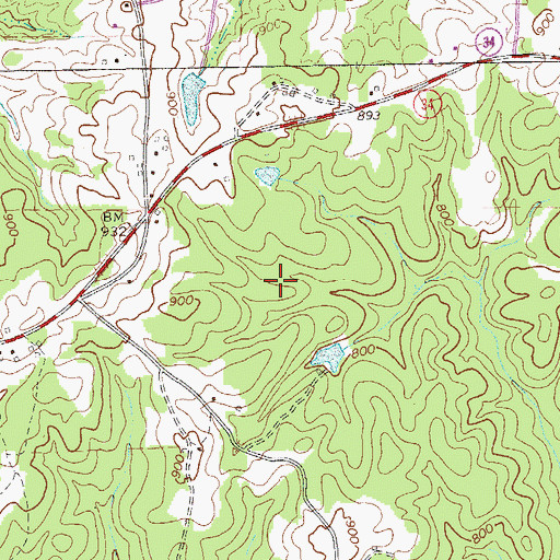 Topographic Map of Texas Division, GA