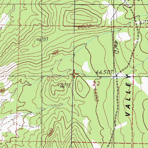Topographic Map of Pine Nut Division, NV