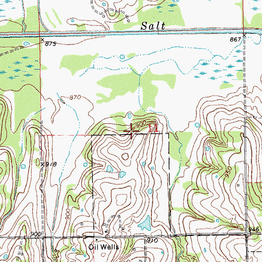 Topographic Map of Maud Division, OK