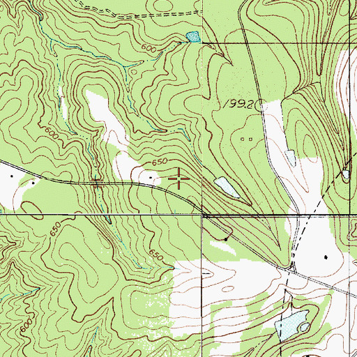 Topographic Map of McConnells Division, SC