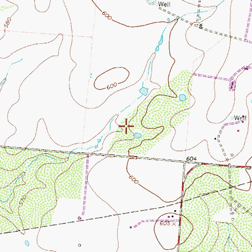 Topographic Map of Moore Division, TX