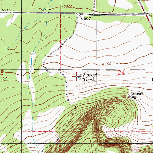 Topographic Map of Forest Tank, NM