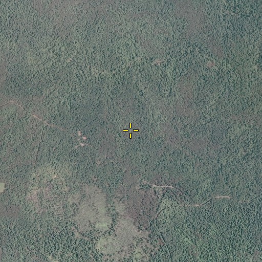 Aerial/Satellite Image of Farms to Forest Trail, VA