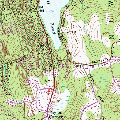 Topographic Map of Ball Pond, CT