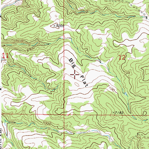 Topographic Map of Big Flat, CO