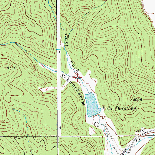 Topographic Map of East Fork Schwachheim Creek, CO