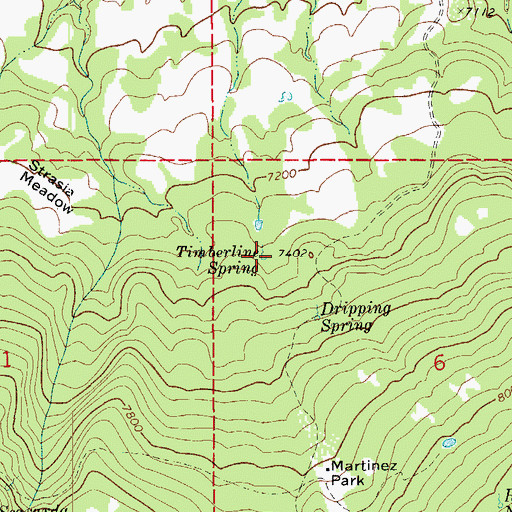 Topographic Map of Timberline Spring, CO
