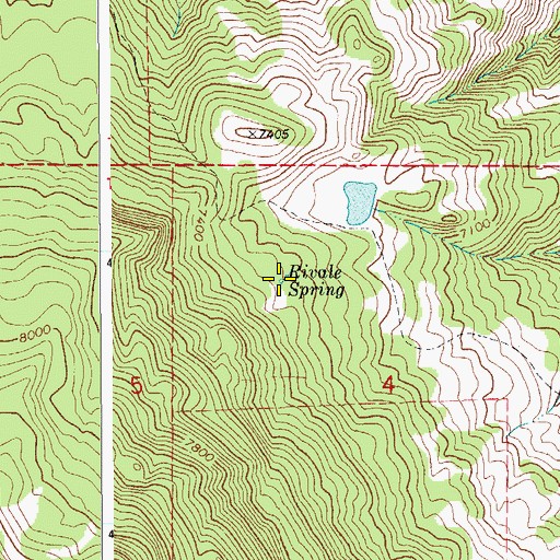 Topographic Map of Rivale Spring, CO