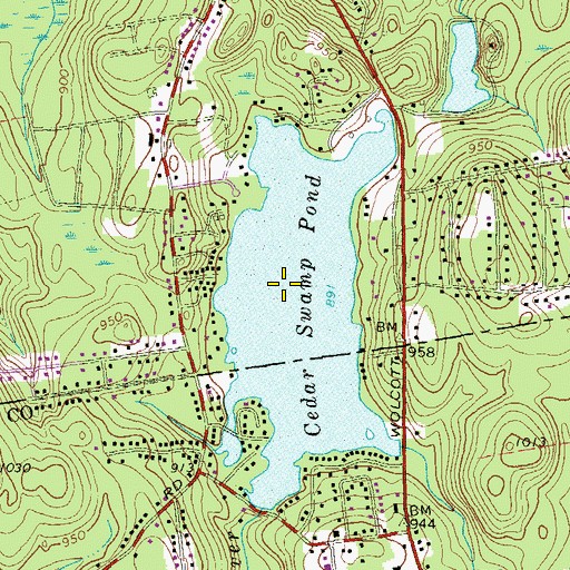 Topographic Map of Cedar Swamp (historical), CT