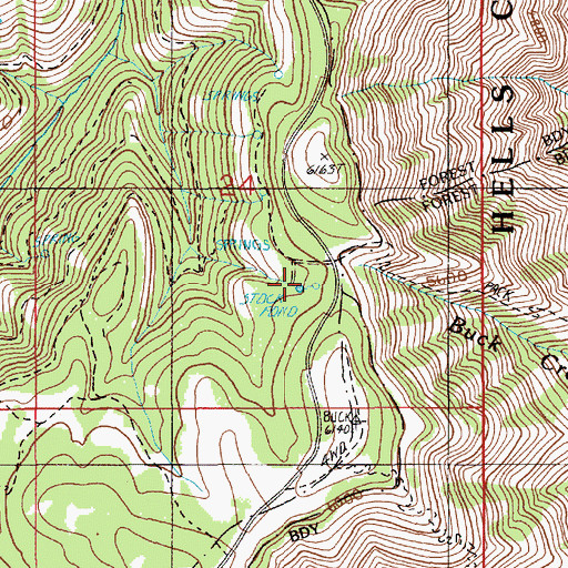 Topographic Map of Buck Creek Recreation Site, OR