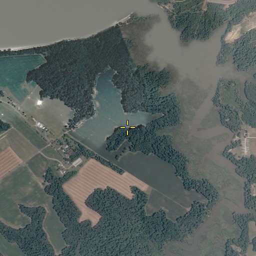 Aerial/Satellite Image of Lower Chippokes Creek Trail, VA