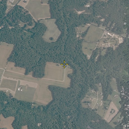 Aerial/Satellite Image of Pine Ridge Farms, VA