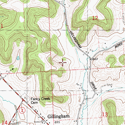 Topographic Map of Gillingham Homestead, WI