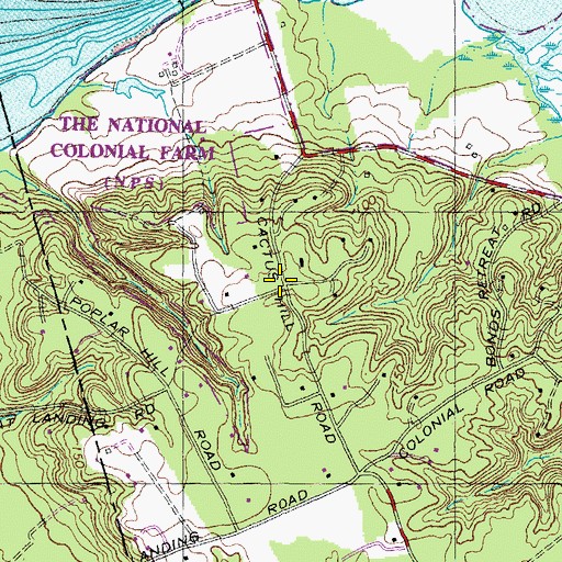 Topographic Map of Cactus Hill, MD