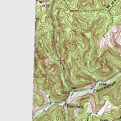 Topographic Map of Left Fork Sand Springs Branch, KY