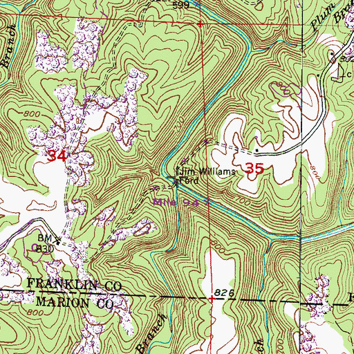 Topographic Map of Jim Williams Ford, AL
