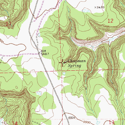 Topographic Map of Chapman Spring, CO