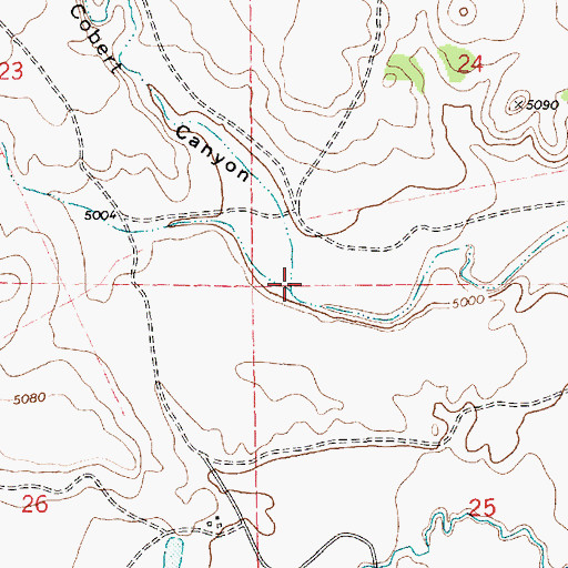 Topographic Map of Cobert Canyon, NM