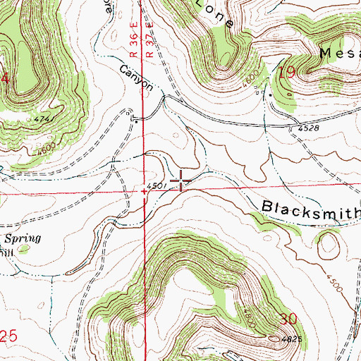 Topographic Map of North Canyon, NM
