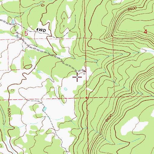 Topographic Map of Forsman Cow Camp, CO