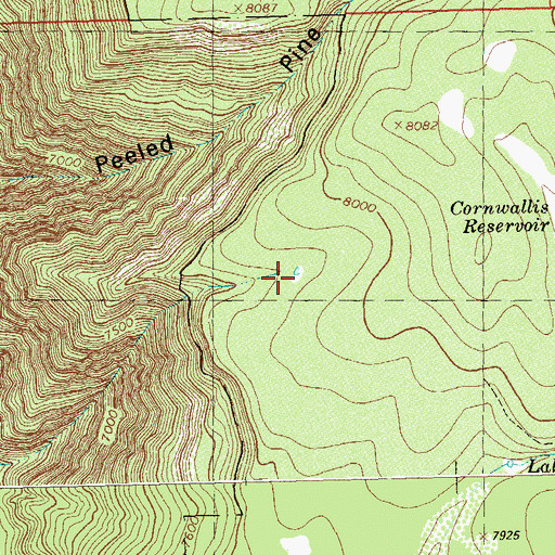 Topographic Map of Wild Bill Number Twelve Reservoir, CO