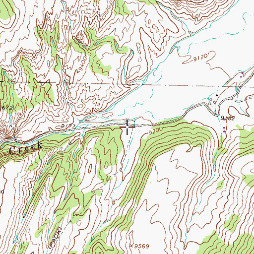 Topographic Map of Rough Creek Trailhead, CO