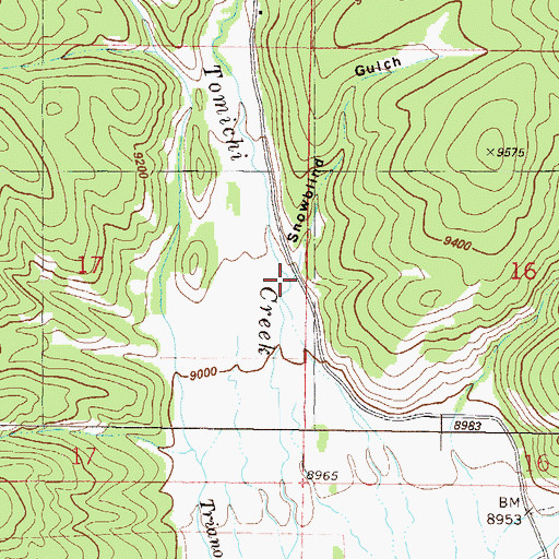 Topographic Map of Snowblind Gulch, CO