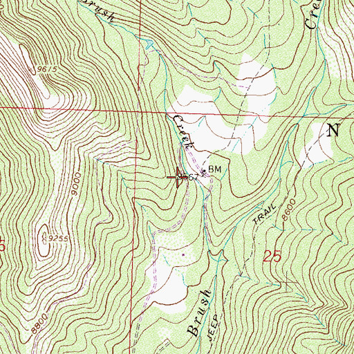 Topographic Map of Brush Creek Cow Camp, CO