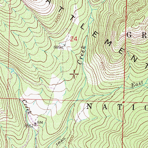 Topographic Map of Bald Mountain Trail, CO