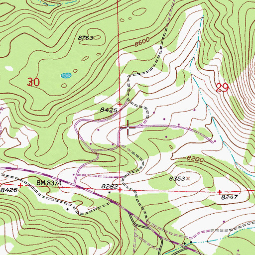 Topographic Map of Pine Valley, CO