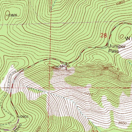 Topographic Map of Juniper Pass Picnic Area, CO