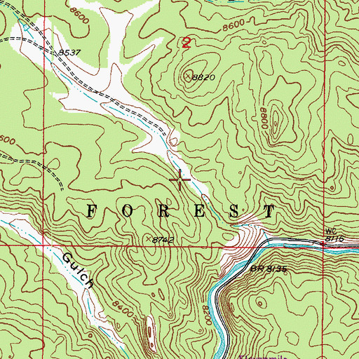 Topographic Map of Dittemore Gulch, CO