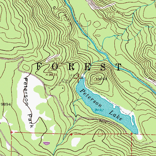 Topographic Map of Peterson Lake Dam, CO