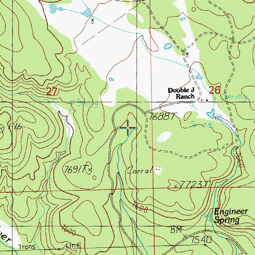 Topographic Map of Trap Spring, NM