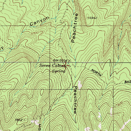 Topographic Map of Seven Cabins Spring, NM
