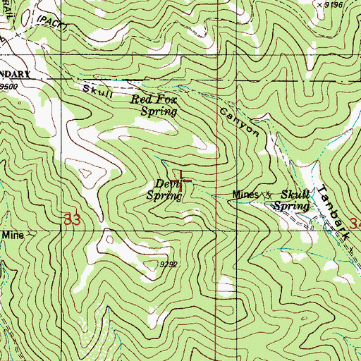 Topographic Map of Devil Spring, NM