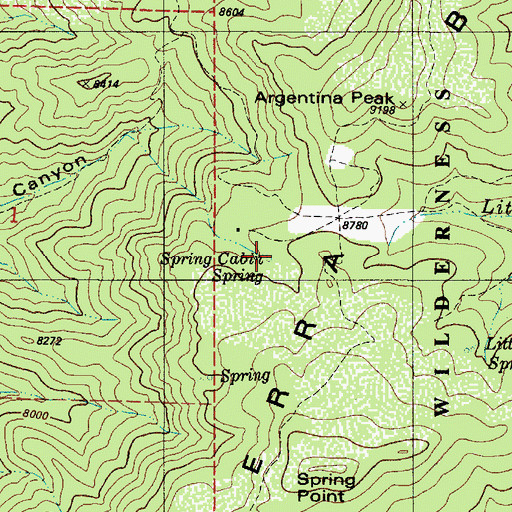 Topographic Map of Spring Cabin Spring, NM