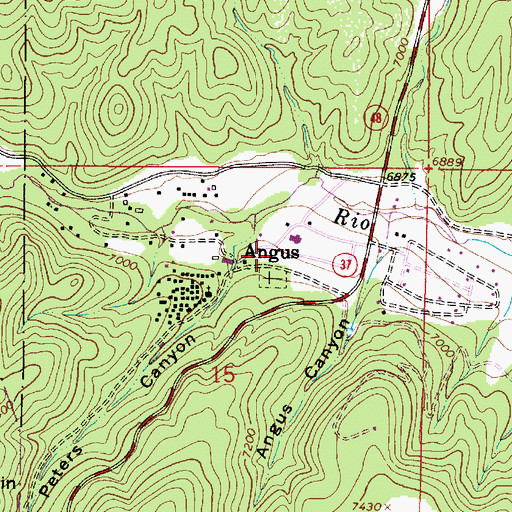 Topographic Map of Angus, NM