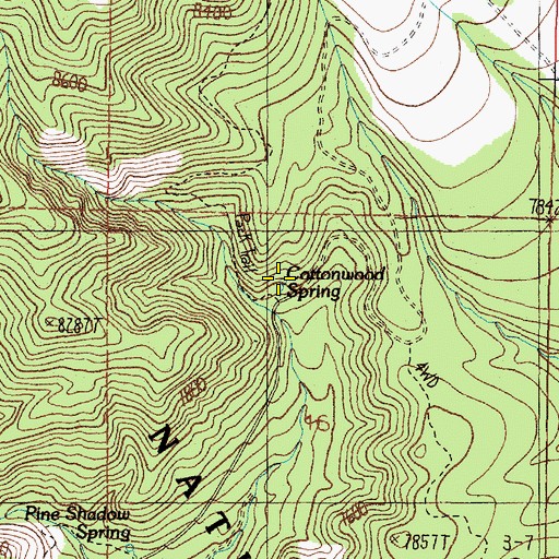Topographic Map of Cottonwood Spring, NM