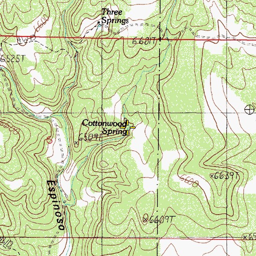 Topographic Map of Cottonwood Spring, NM