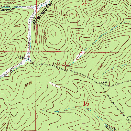 Topographic Map of Lick Trick Tank, NM