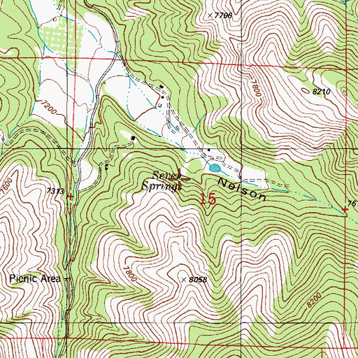 Topographic Map of Seven Springs, NM