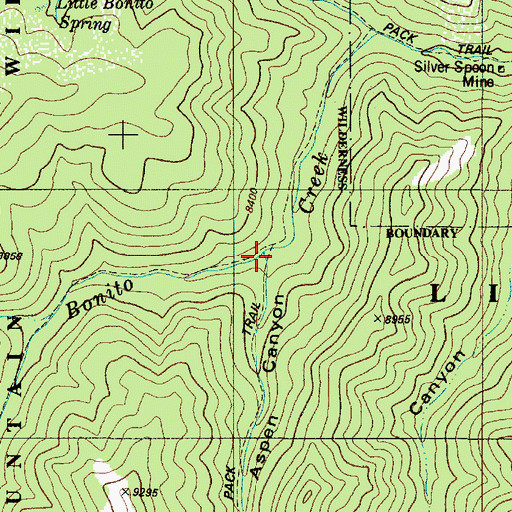 Topographic Map of Aspen Canyon, NM