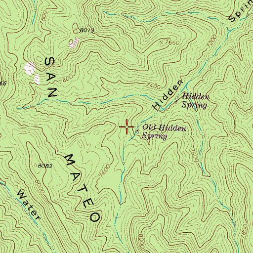 Topographic Map of Old Hidden Spring, NM